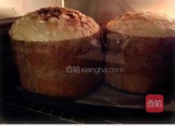 天然酵种潘妮托妮（panettone)的做法图解5
