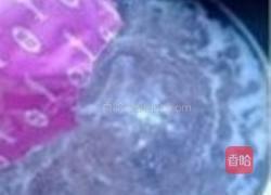 椰香木瓜红豆沙冰的做法图解7
