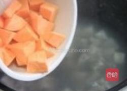 南洋渣渣的做法图解8
