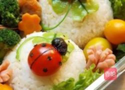 三叶草与瓢虫便当的做法图解1