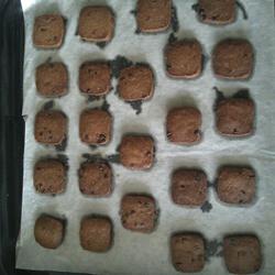 可可巧克力豆饼干的做法[图]