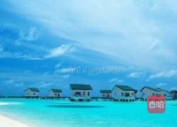 红豆椰汁西米露的做法图解3