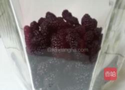 新鲜桑葚酒的做法图解2