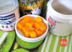 木瓜炖燕窝的做法图解7