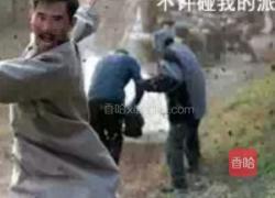 阿帕雷酱草莓黄桃派的做法图解13