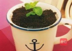 盆栽蛋糕的做法图解4