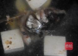芫茜鱼头豆腐汤的做法图解3