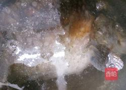 清炖鲫鱼汤的做法图解3