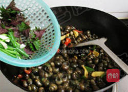 紫苏炒青螺的做法图解14