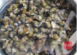 紫苏炒青螺的做法图解2