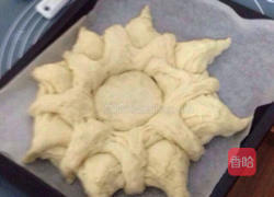 太阳花面包的做法图解12