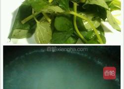 酸笋红薯苗的做法图解2