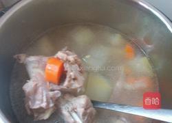 广洲夏署去湿汤的做法图解7