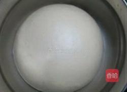 葡萄干蜜枣罗宋包的做法图解2