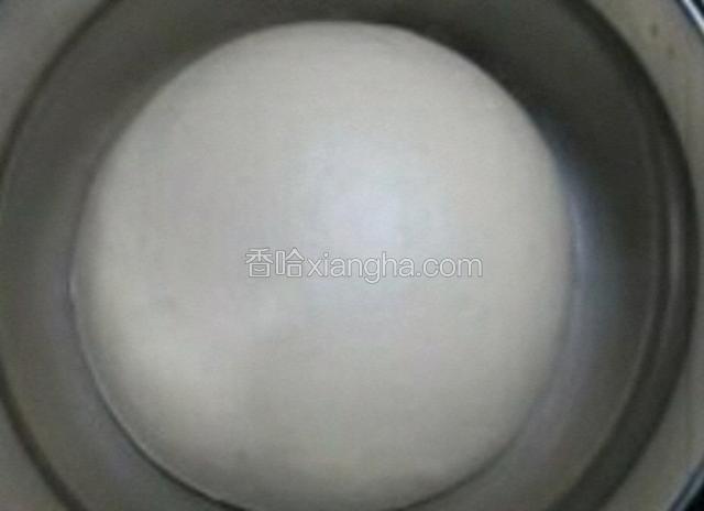 我是晚上和的面，第二天（大概15个小时）拿出来已经发的很好了，排气后再次室温发酵至原来的2至2.5倍大。如果赶时间可以省略冷发酵这一步，直接室温发酵至2至2.5倍大即可。