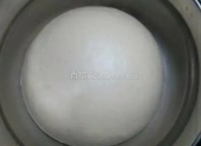 头天下午和面，放入冰箱冷藏发酵，大概15个小时后就发至原来的两至三倍大了！取出排气完全后，盖保鲜膜将其置于室温或利用烤箱的发酵功能二次发酵至原来的二至三倍大。如果没有时间可以省略冷发酵的步骤，直接室温发酵。