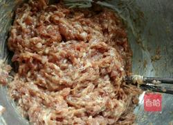 西葫芦猪肉包的做法图解5