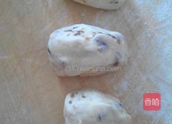 葡萄干蜜枣罗宋包的做法图解5
