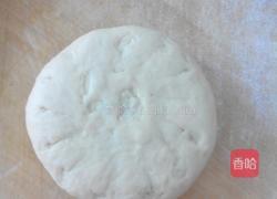 自制可爱花朵包的做法图解10