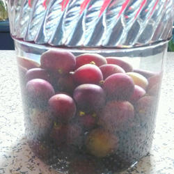 葡萄酒的做法[图]