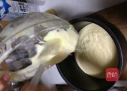 蔓越莓电饭煲蛋糕的做法图解12