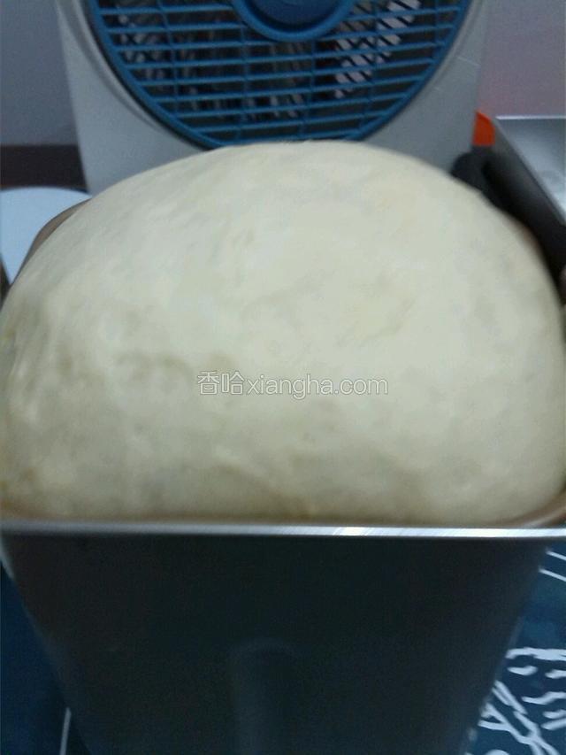 第一次发酵发酵完毕