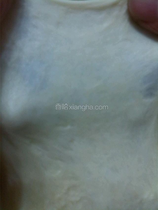 面团倒出来用手一扳能拉出膜