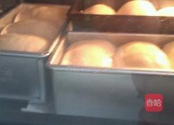 汤种豆沙吐司的做法图解10