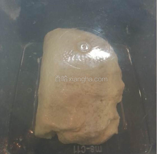 盖好发酵