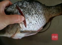 红炖鲤鱼的做法图解1