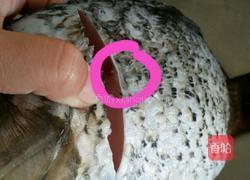 红炖鲤鱼的做法图解2