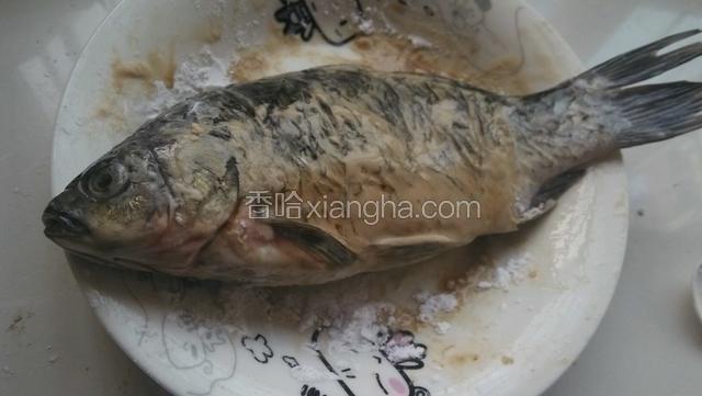 沾生淀粉