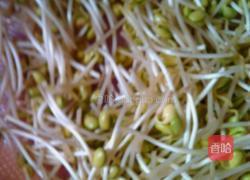 酸菜猪脚的做法图解4