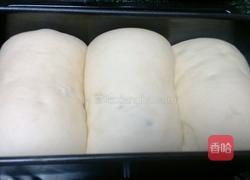 红豆蜂蜜土司的做法图解7