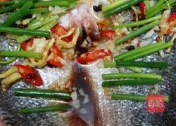 家常蒸鱼的做法图解5