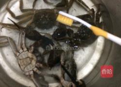 清蒸大闸蟹的做法图解1