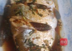 蒸鱼的做法图解5