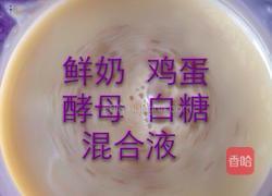 自制麻花的做法图解2