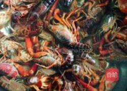 啤酒醉大虾的做法图解3