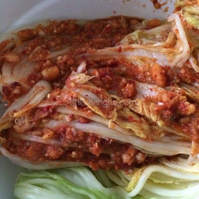 每片叶子上均匀抹上拌料；