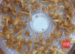 猴菇菌粉的做法图解1