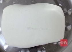 鲜肉汤圆的做法图解5