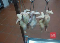 豉油鸡的做法图解1