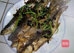 黄豆瓣焖鱼的做法图解5