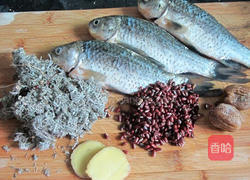 绵茵陈鲫鱼汤的做法图解1