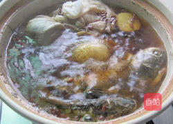 绵茵陈鲫鱼汤的做法图解9