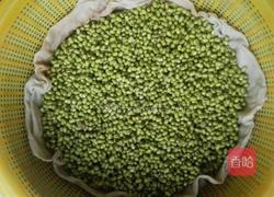 自发豆芽的做法图解2