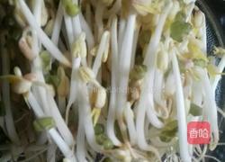 自发豆芽的做法图解4