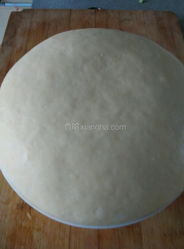 发酵至2.5倍大（28度大約1小时）。