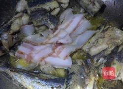 燕鱼炖宽粉的做法图解4